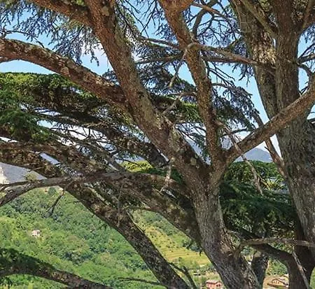 Palazzo Costa Szálloda Beverino