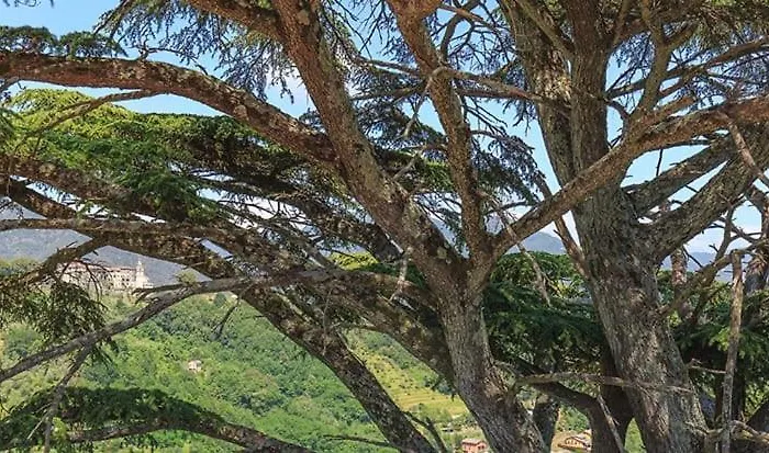 Palazzo Costa Hotel Beverino